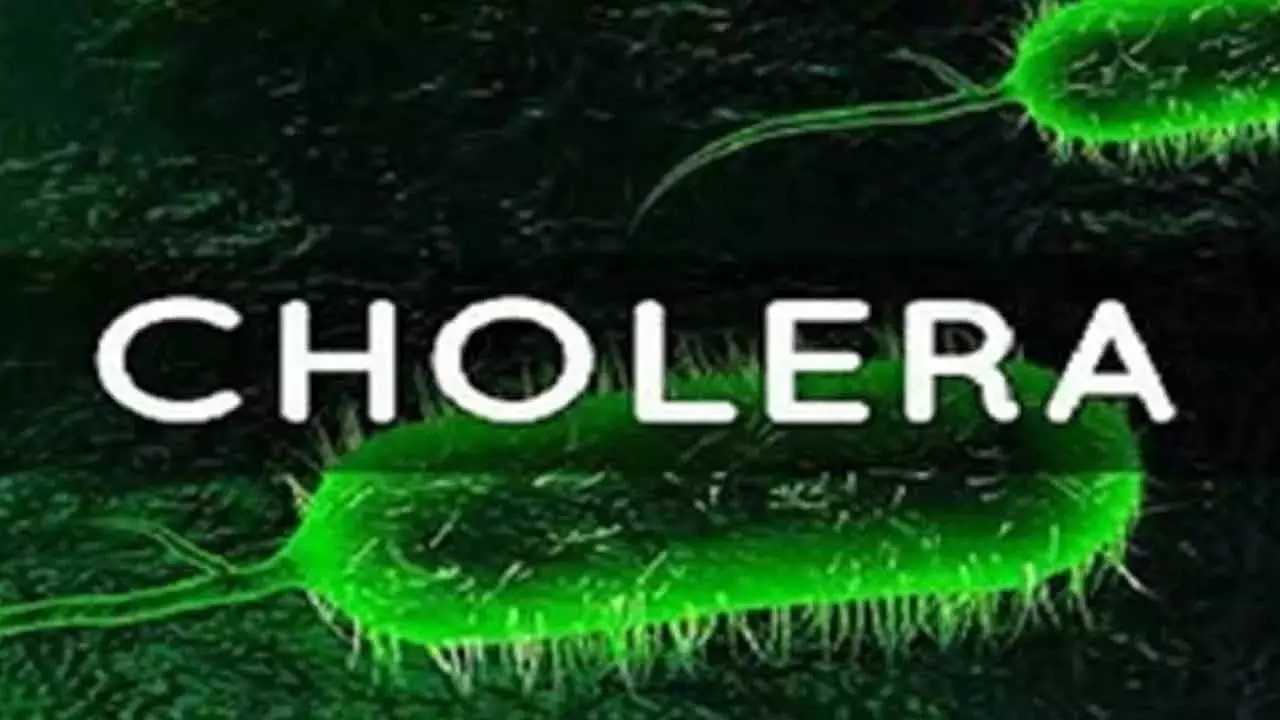 cholera और लड़ाई के बीच कांगो में बाढ़ से 60 से ज़्यादा लोगों की मौत: संयुक्त राष्ट्र cholera और लड़ाई के बीच कांगो में बाढ़ से 60 से ज़्यादा लोगों की मौत: संयुक्त राष्ट्र