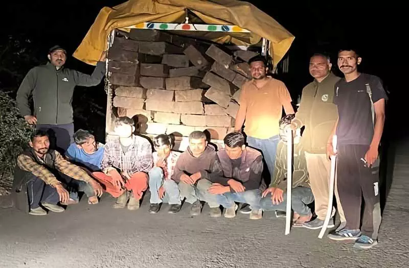 Himachal: बड़ी कार्रवाई में 37 देवदार की लकड़ियां जब्त, 7 गिरफ्तार Himachal: बड़ी कार्रवाई में 37 देवदार की लकड़ियां जब्त, 7 गिरफ्तार