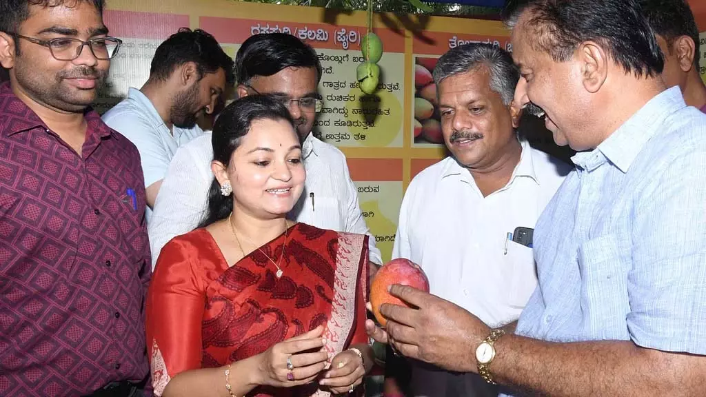 धारवाड़ के एक बगीचे में उगाए गए इस मिया जैकी आम की कीमत ₹10,000 धारवाड़ के एक बगीचे में उगाए गए इस मिया जैकी आम की कीमत ₹10,000