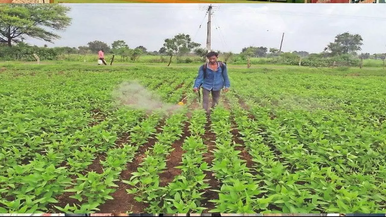 सुबी ताबा की ‘टेल्स फ्रॉम द डॉन-लिट माउंटेन्स’ का ईटानगर में विमोचन सुबी ताबा की ‘टेल्स फ्रॉम द डॉन-लिट माउंटेन्स’ का ईटानगर में विमोचन