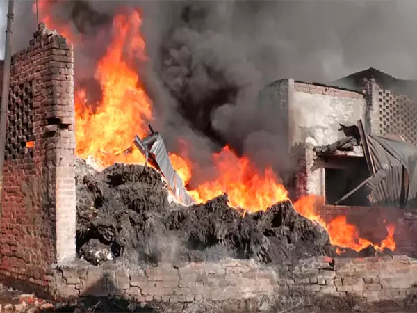 Kanpur की गल्ला मंडी में लगी आग, पांच लोग घायल Kanpur की गल्ला मंडी में लगी आग, पांच लोग घायल