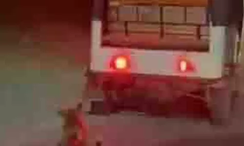 Noida :  बेजुबान जानवर कुत्ते के साथ क्रूरता