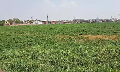 ऐतिहासिक तालाब गंदगी और जलकुंभी से भरे; स्थानीय लोगों ने तत्काल सफाई की मांग की