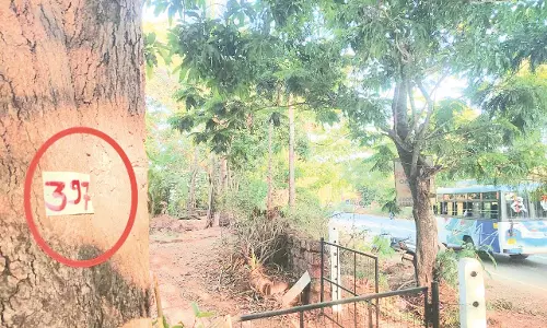 राजमार्ग विस्तार सर्वेक्षण शुरू होने पर Chinchinim में तनाव राजमार्ग विस्तार सर्वेक्षण शुरू होने पर Chinchinim में तनाव