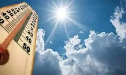 Bareilly: जेठ की शुरुआत में बरेली में बढ़ा पारा, 45 डिग्री तक तापमान बढ़ने की आशंका