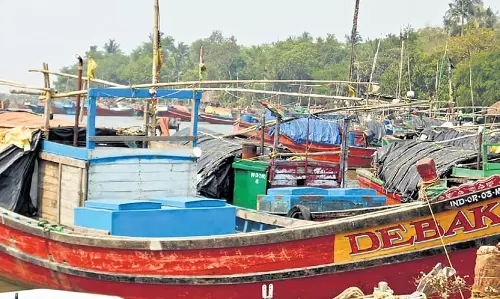 मछली पकड़ने पर प्रतिबंध से Kendrapara में समुद्री खाद्य पदार्थों की कीमतें बढ़ीं