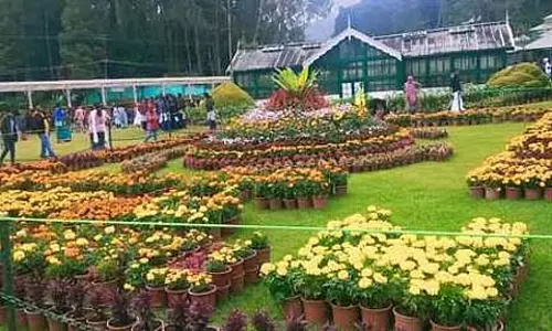 Tamil Nadu : 15 मई को नीलगिरी जिले में स्थानीय अवकाश रहेगा