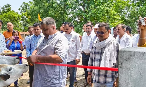 ग्राम दावा के श्री श्याम गौशाला में नए गौशेड और दो सोलर हाई मास्ट लाइट्स का उद्घाटन