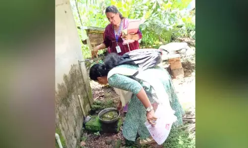 Kerala : एरुमेलि पेरियानमलाई में डेंगू बुखार