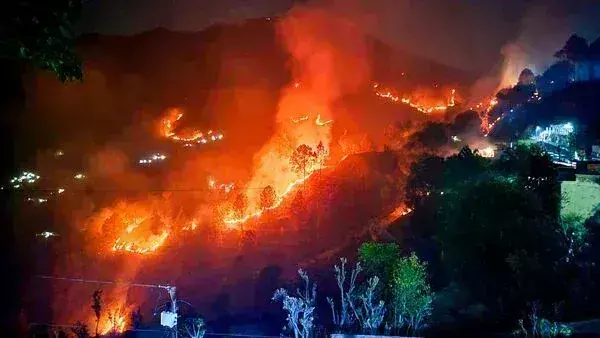 Dehradun: वनाग्नि रोकथाम और वृक्षारोपण को मिलेंगे 439 करोड़, मंत्रालय के पास प्रस्ताव