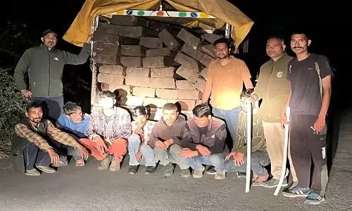 Himachal: बड़ी कार्रवाई में 37 देवदार की लकड़ियां जब्त, 7 गिरफ्तार