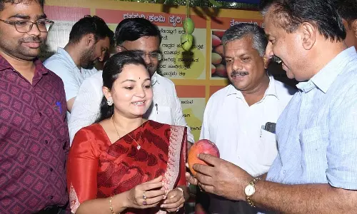 धारवाड़ के एक बगीचे में उगाए गए इस मिया जैकी आम की कीमत ₹10,000 धारवाड़ के एक बगीचे में उगाए गए इस मिया जैकी आम की कीमत ₹10,000