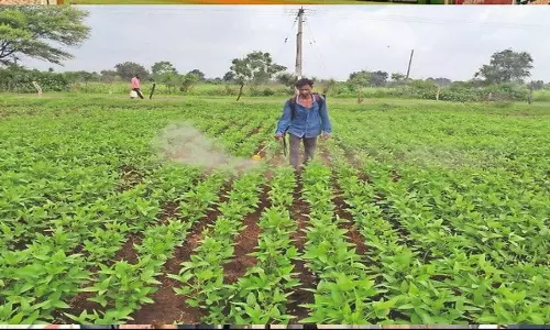 सुबी ताबा की ‘टेल्स फ्रॉम द डॉन-लिट माउंटेन्स’ का ईटानगर में विमोचन