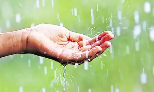 Rain : चार दिनों में अंडमान तक दक्षिण-पश्चिम