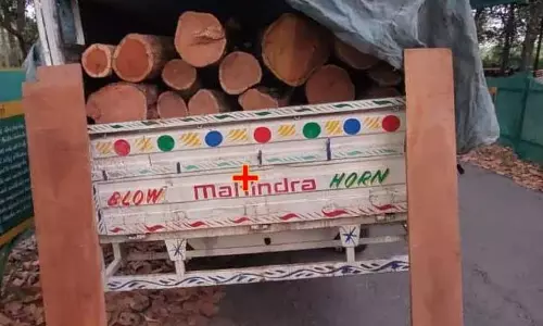 Sirmaur में ढीली प्रवर्तन व्यवस्था के बीच लकड़ी की तस्करी बढ़ी