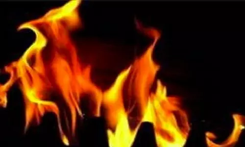 UP: कानपुर की गल्ला मंडी में लगी आग, पांच लोग घायल
