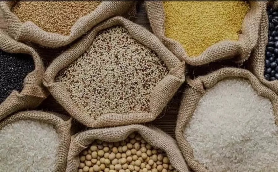 सीहोर में PDS दुकानों से मुर्दों को मिल रहा मुफ्त राशन सीहोर में PDS दुकानों से मुर्दों को मिल रहा मुफ्त राशन