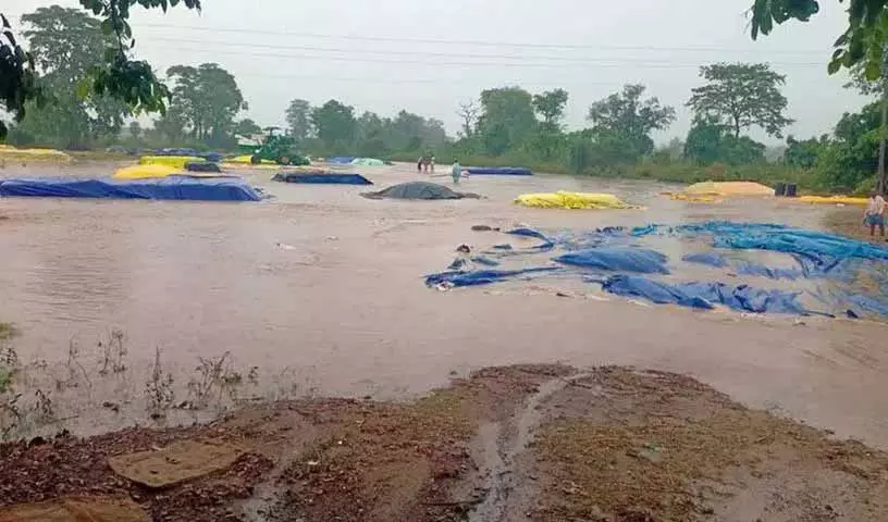 बेमौसम बारिश से Mulugu में धान की फसल को नुकसान बेमौसम बारिश से Mulugu में धान की फसल को नुकसान