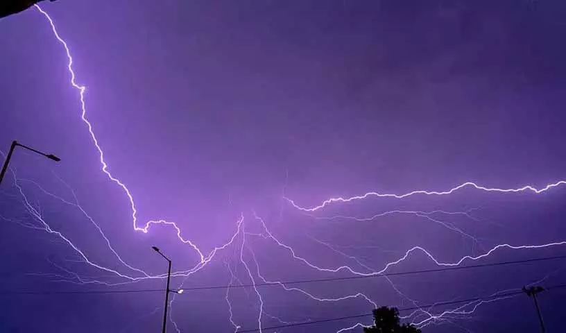 बारिश और बिजली, Peddapalli में बिजली गिरने से 25 भेड़ों की मौत बारिश और बिजली, Peddapalli में बिजली गिरने से 25 भेड़ों की मौत
