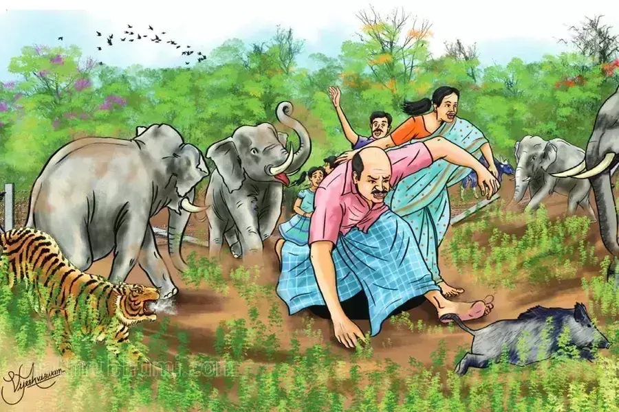 Kerala ने सांप के काटने और कीड़ों के हमले से होने वाली मौतों के लिए 4 लाख रुपये के नए मुआवजे की घोषणा Kerala ने सांप के काटने और कीड़ों के हमले से होने वाली मौतों के लिए 4 लाख रुपये के नए मुआवजे की घोषणा