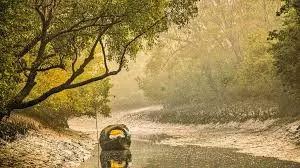 Kolkata: सुंदरबन के असुरक्षित क्षेत्रों में घुसपैठ की आशंका, सुरक्षा चौकसी बढ़ाई गई Kolkata: सुंदरबन के असुरक्षित क्षेत्रों में घुसपैठ की आशंका, सुरक्षा चौकसी बढ़ाई गई