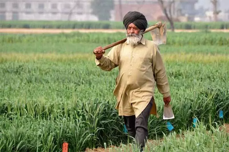 अगर युद्ध जारी रहता तो सभी आदमपुर छोड़ देते: Farmers अगर युद्ध जारी रहता तो सभी आदमपुर छोड़ देते: Farmers