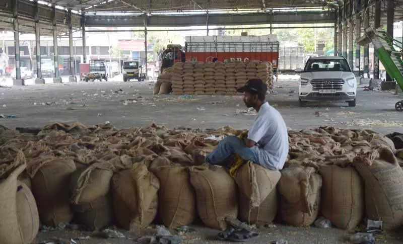 गेहूं खरीद और उठान में Ludhiana शीर्ष पर गेहूं खरीद और उठान में Ludhiana शीर्ष पर