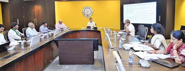अगले पांच वर्षों में बागवानी को दोगुना किया जाना चाहिए : CM Naidu अगले पांच वर्षों में बागवानी को दोगुना किया जाना चाहिए : CM Naidu