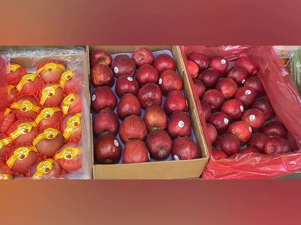 Ghaziabad के फल व्यापारियों ने पाकिस्तान के समर्थन पर तुर्की के सामान का किया बहिष्कार Ghaziabad के फल व्यापारियों ने पाकिस्तान के समर्थन पर तुर्की के सामान का किया बहिष्कार