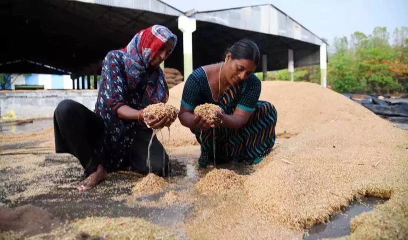 Telangana में बेमौसम बारिश से फसलों पर कहर, किसानों ने की राहत की मांग Telangana में बेमौसम बारिश से फसलों पर कहर, किसानों ने की राहत की मांग