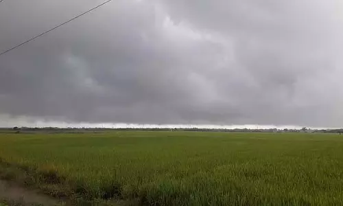 Tamil Nadu : दक्षिण-पश्चिम मानसून शुरू हो गया