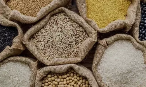 सीहोर में PDS दुकानों से मुर्दों को मिल रहा मुफ्त राशन सीहोर में PDS दुकानों से मुर्दों को मिल रहा मुफ्त राशन