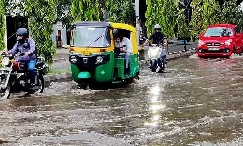 बिजली गिरने से 25 से अधिक पेड़ गिरे: शहर की अधिकांश सड़कों पर पानी भर गया
