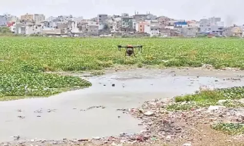 GHMC ने पूरे शहर में मच्छरों के आतंक से निपटने के लिए ड्रोन तैनात किए