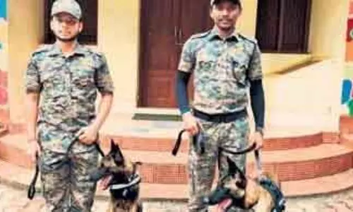 सिमिलिपाल में दो और प्रशिक्षित खोजी कुत्ते तैनात