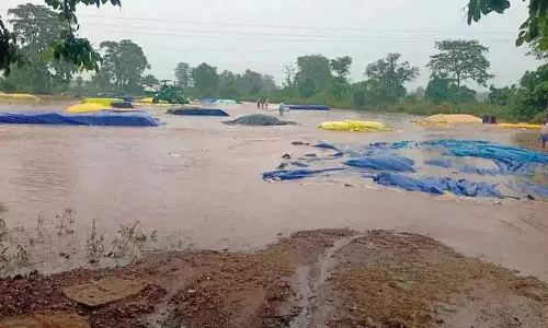 बेमौसम बारिश से Mulugu में धान की फसल को नुकसान