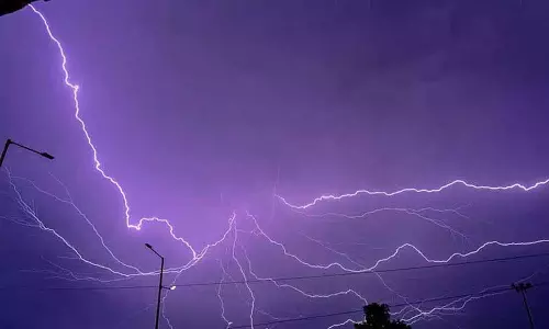 बारिश और बिजली, Peddapalli में बिजली गिरने से 25 भेड़ों की मौत