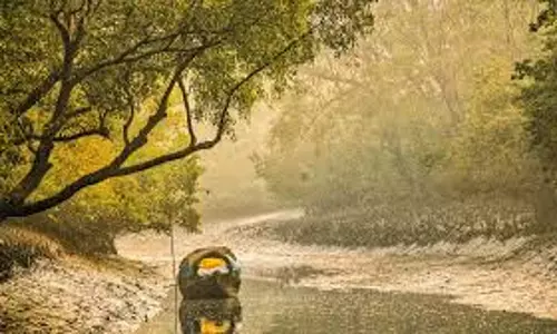 Kolkata: सुंदरबन के असुरक्षित क्षेत्रों में घुसपैठ की आशंका, सुरक्षा चौकसी बढ़ाई गई Kolkata: सुंदरबन के असुरक्षित क्षेत्रों में घुसपैठ की आशंका, सुरक्षा चौकसी बढ़ाई गई