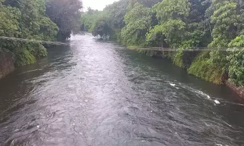 Kerala ; जिले की आठ नदियों में कोलीफॉर्म और ई-कोली बैक्टीरिया की मौजूदगी बढ़ गई