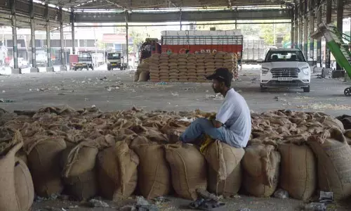 गेहूं खरीद और उठान में Ludhiana शीर्ष पर गेहूं खरीद और उठान में Ludhiana शीर्ष पर