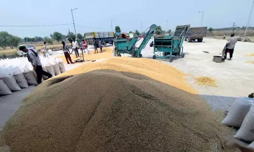 Una के किसान सरकारी केंद्रों की बजाय निजी व्यापारियों को तरजीह दे रहे