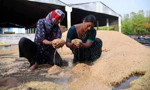 Telangana में बेमौसम बारिश से फसलों पर कहर, किसानों ने की राहत की मांग