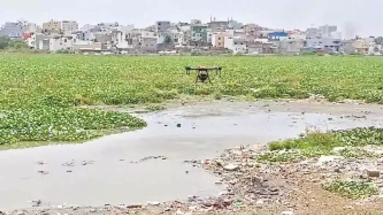 GHMC ने शहर भर में मच्छरों के खतरे से निपटने के लिए ड्रोन तैनात किए