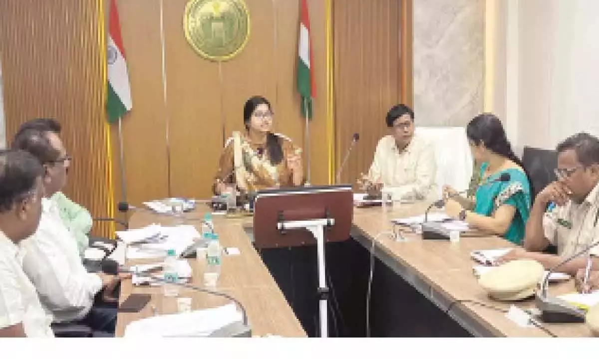 ‘वन क्षेत्रों में विकास के लिए त्वरित कार्रवाई की जरूरत’ ‘वन क्षेत्रों में विकास के लिए त्वरित कार्रवाई की जरूरत’