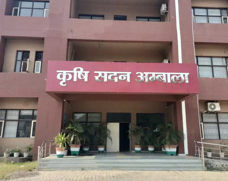 Haryana : हरी खाद के तहत 4 लाख एकड़ का लक्ष्य, सख्त आदेश Haryana : हरी खाद के तहत 4 लाख एकड़ का लक्ष्य, सख्त आदेश