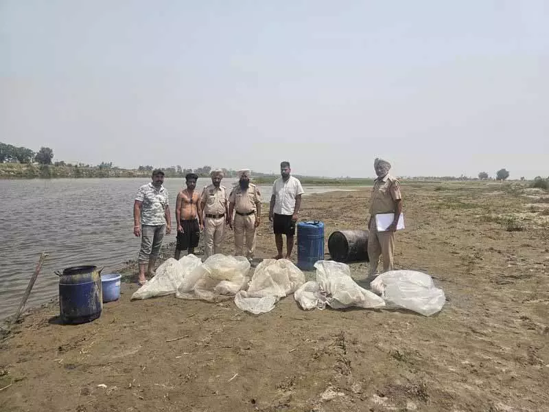 Moga पुलिस ने अवैध शराब नेटवर्क का भंडाफोड़ किया, 3 गिरफ्तार, 1,200 लीटर लाहन जब्त Moga पुलिस ने अवैध शराब नेटवर्क का भंडाफोड़ किया, 3 गिरफ्तार, 1,200 लीटर लाहन जब्त