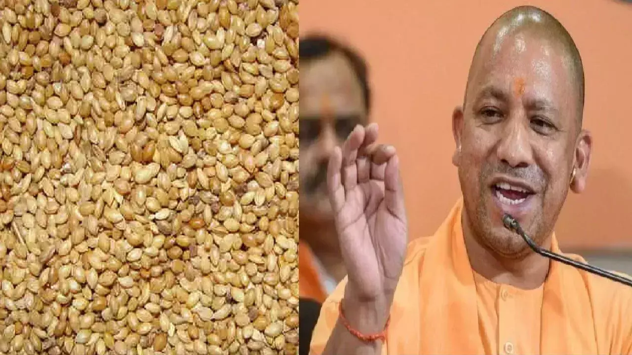 Lucknow: गरीबों की थाली तक राशन पहुंचाने को योगी सरकार ने खोला खजाना Lucknow: गरीबों की थाली तक राशन पहुंचाने को योगी सरकार ने खोला खजाना