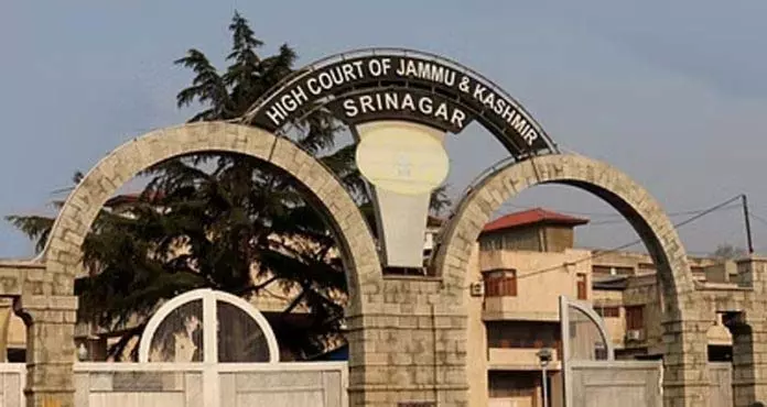 हवाई क्षेत्र पर अधिकार सरकार के पास है: HC हवाई क्षेत्र पर अधिकार सरकार के पास है: HC