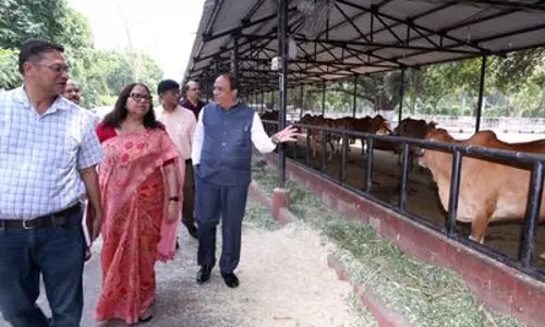 केंद्र ने Sultanpur राष्ट्रीय उद्यान में निर्माण योजना रोकी, 78 उल्लंघनों पर कार्रवाई केंद्र ने Sultanpur राष्ट्रीय उद्यान में निर्माण योजना रोकी, 78 उल्लंघनों पर कार्रवाई