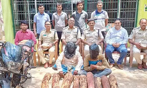 2 गिरफ्तार, 9 लाल चंदन की लकड़ियाँ जब्त 2 गिरफ्तार, 9 लाल चंदन की लकड़ियाँ जब्त